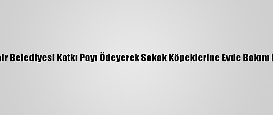 Konya Büyükşehir Belediyesi Katkı Payı Ödeyerek Sokak Köpeklerine Evde Bakım Hizmeti Sağlıyor
