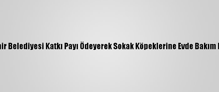 Konya Büyükşehir Belediyesi Katkı Payı Ödeyerek Sokak Köpeklerine Evde Bakım Hizmeti Sağlıyor