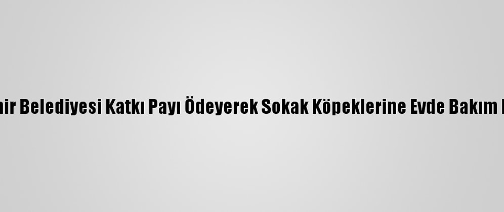 Konya Büyükşehir Belediyesi Katkı Payı Ödeyerek Sokak Köpeklerine Evde Bakım Hizmeti Sağlıyor