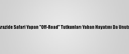 Karlı Arazide Safari Yapan "Off-Road" Tutkunları Yaban Hayatını Da Unutmuyor