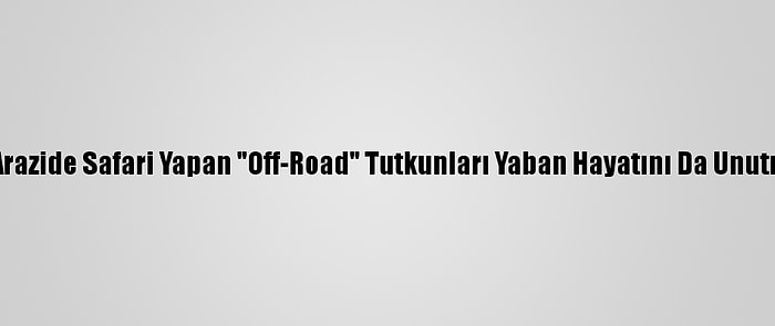 Karlı Arazide Safari Yapan "Off-Road" Tutkunları Yaban Hayatını Da Unutmuyor