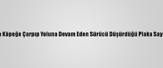 Bursa'da Aracıyla Köpeğe Çarpıp Yoluna Devam Eden Sürücü Düşürdüğü Plaka Sayesinde Yakalandı