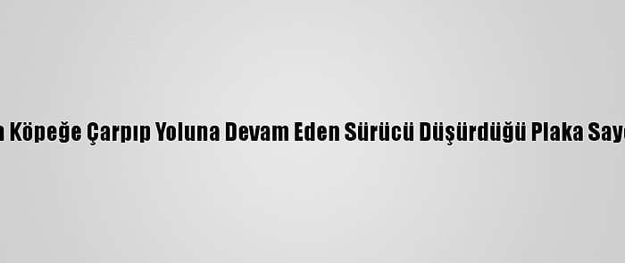 Bursa'da Aracıyla Köpeğe Çarpıp Yoluna Devam Eden Sürücü Düşürdüğü Plaka Sayesinde Yakalandı