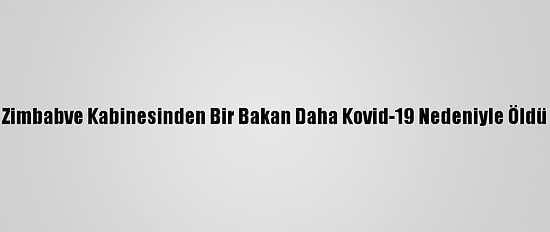 Zimbabve Kabinesinden Bir Bakan Daha Kovid-19 Nedeniyle Öldü