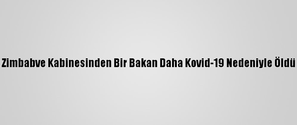 Zimbabve Kabinesinden Bir Bakan Daha Kovid-19 Nedeniyle Öldü