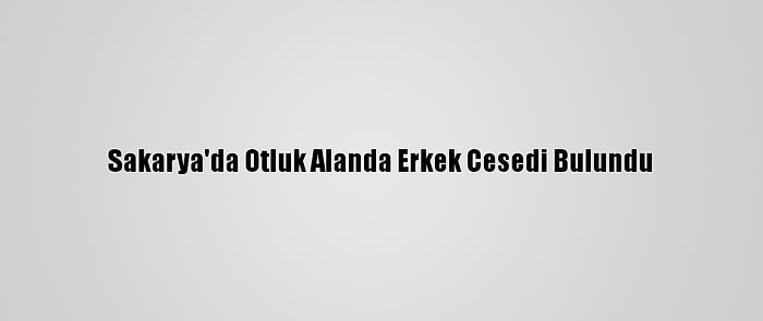 Sakarya'da Otluk Alanda Erkek Cesedi Bulundu