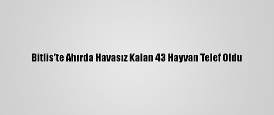 Bitlis'te Ahırda Havasız Kalan 43 Hayvan Telef Oldu