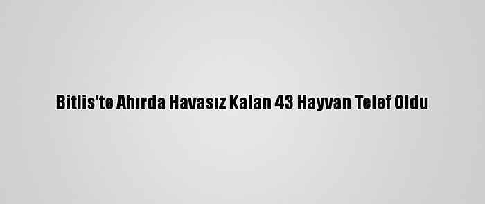 Bitlis'te Ahırda Havasız Kalan 43 Hayvan Telef Oldu