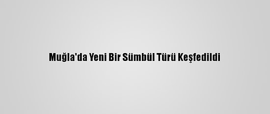 Muğla'da Yeni Bir Sümbül Türü Keşfedildi