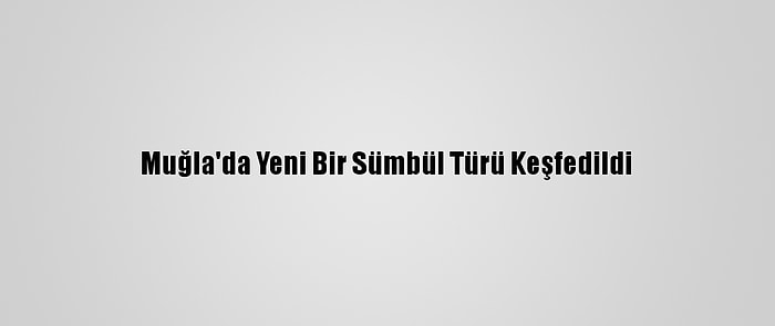 Muğla'da Yeni Bir Sümbül Türü Keşfedildi