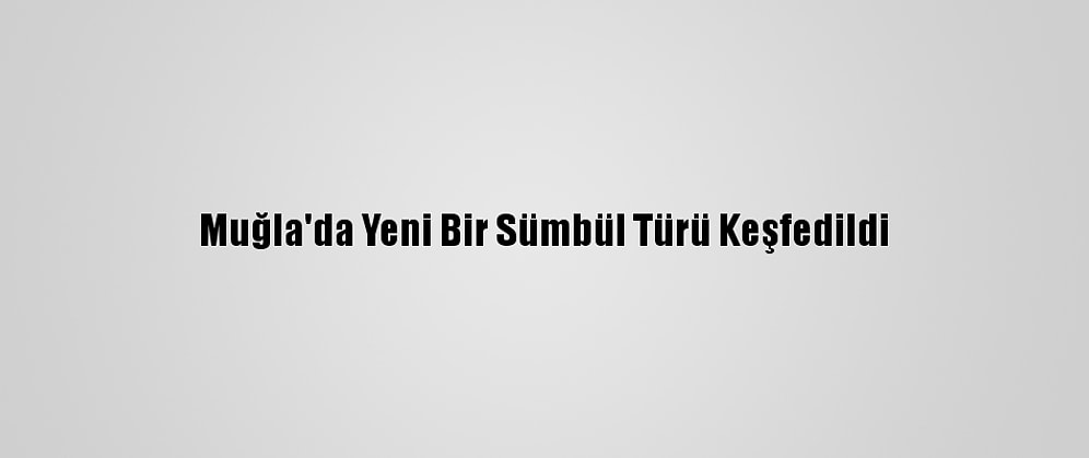 Muğla'da Yeni Bir Sümbül Türü Keşfedildi