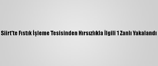 Siirt'te Fıstık İşleme Tesisinden Hırsızlıkla İlgili 1 Zanlı Yakalandı