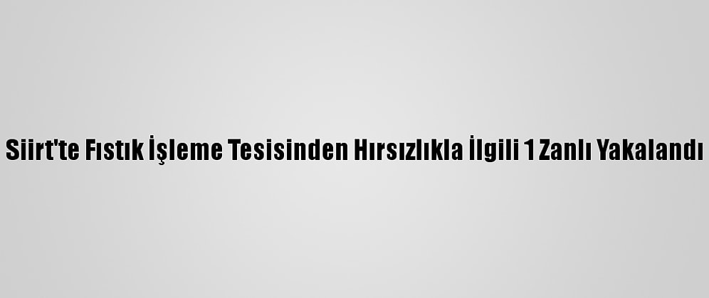Siirt'te Fıstık İşleme Tesisinden Hırsızlıkla İlgili 1 Zanlı Yakalandı