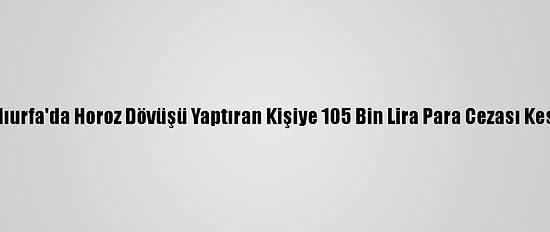 Şanlıurfa'da Horoz Dövüşü Yaptıran Kişiye 105 Bin Lira Para Cezası Kesildi