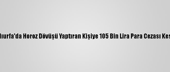 Şanlıurfa'da Horoz Dövüşü Yaptıran Kişiye 105 Bin Lira Para Cezası Kesildi