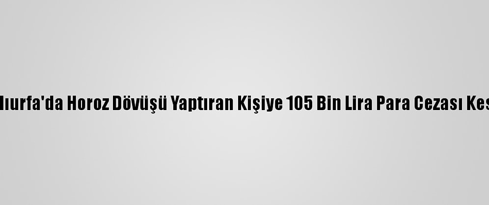 Şanlıurfa'da Horoz Dövüşü Yaptıran Kişiye 105 Bin Lira Para Cezası Kesildi