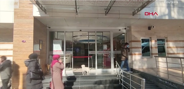 2. Когда Джемаля увезли на скорой, Бонджук сбежала из дома и пришла прямо к главному входу больницы, выискивая взглядом своего хозяина.