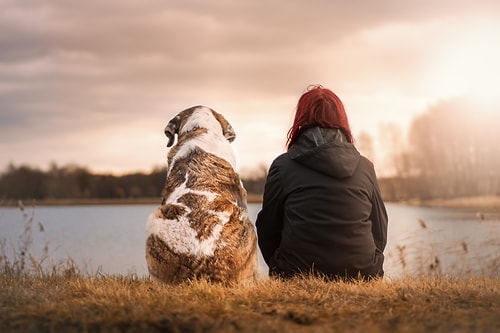 Köpeklerin İlk Kez Ne Zaman ve Nerede Evcilleştirildiği Bulundu