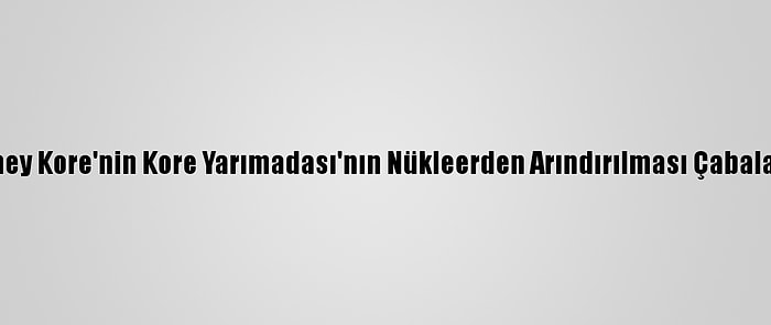 Çin'den, Güney Kore'nin Kore Yarımadası'nın Nükleerden Arındırılması Çabalarına Destek