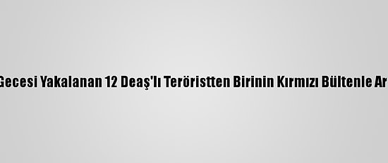 Hatay'da Yılbaşı Gecesi Yakalanan 12 Deaş'lı Teröristten Birinin Kırmızı Bültenle Arandığı Belirlendi
