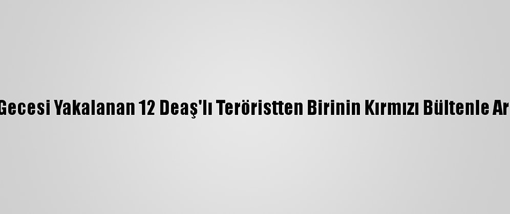 Hatay'da Yılbaşı Gecesi Yakalanan 12 Deaş'lı Teröristten Birinin Kırmızı Bültenle Arandığı Belirlendi