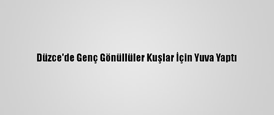 Düzce'de Genç Gönüllüler Kuşlar İçin Yuva Yaptı