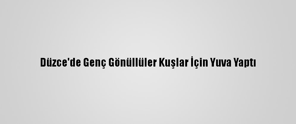 Düzce'de Genç Gönüllüler Kuşlar İçin Yuva Yaptı