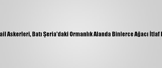 İsrail Askerleri, Batı Şeria'daki Ormanlık Alanda Binlerce Ağacı İtlaf Etti