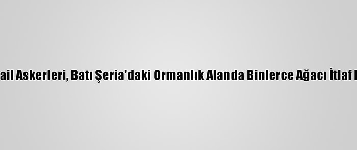 İsrail Askerleri, Batı Şeria'daki Ormanlık Alanda Binlerce Ağacı İtlaf Etti