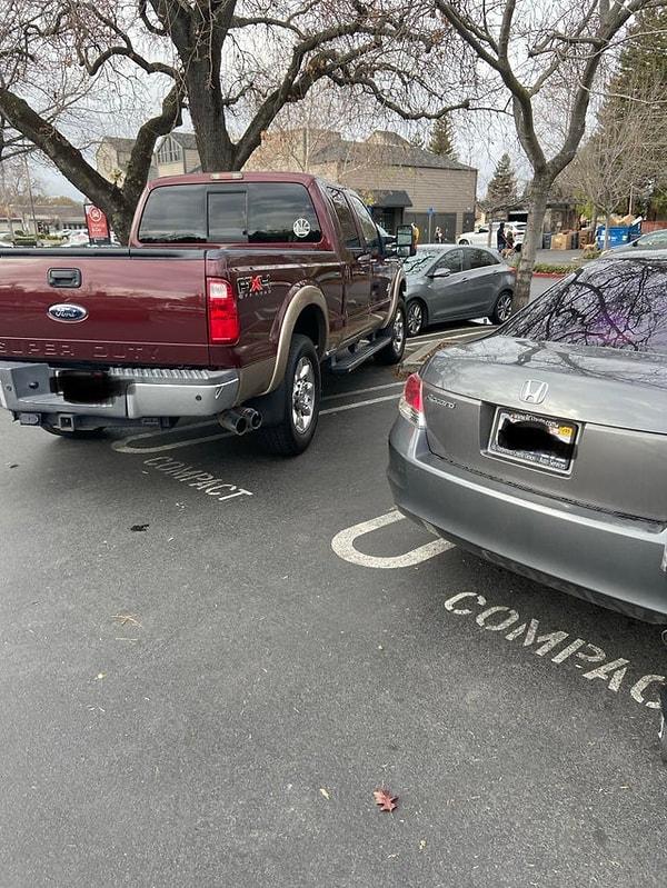 6. "İki kişilik yere böyle park etmiş."