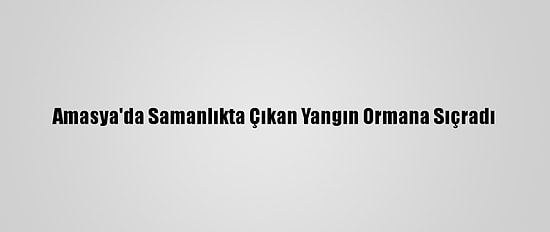 Amasya'da Samanlıkta Çıkan Yangın Ormana Sıçradı