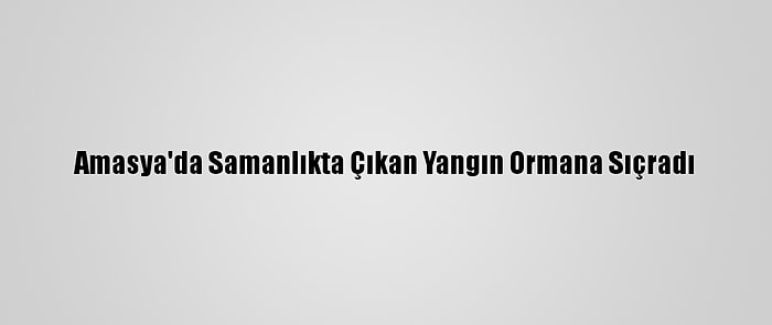 Amasya'da Samanlıkta Çıkan Yangın Ormana Sıçradı