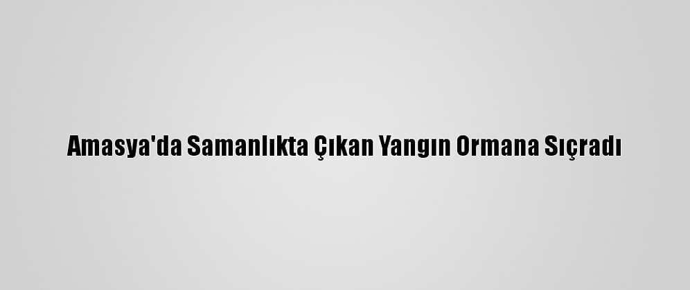 Amasya'da Samanlıkta Çıkan Yangın Ormana Sıçradı