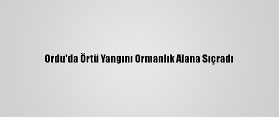 Ordu'da Örtü Yangını Ormanlık Alana Sıçradı