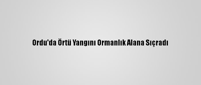 Ordu'da Örtü Yangını Ormanlık Alana Sıçradı