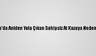 Bursa'da Aniden Yola Çıkan Sahipsiz At Kazaya Neden Oldu