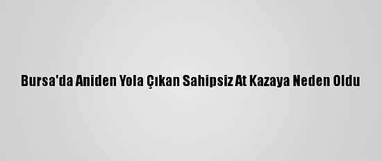 Bursa'da Aniden Yola Çıkan Sahipsiz At Kazaya Neden Oldu