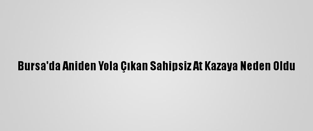 Bursa'da Aniden Yola Çıkan Sahipsiz At Kazaya Neden Oldu