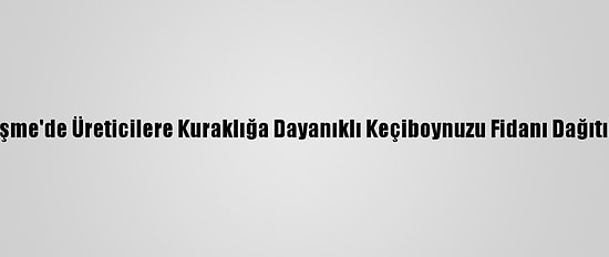 Çeşme'de Üreticilere Kuraklığa Dayanıklı Keçiboynuzu Fidanı Dağıtıldı