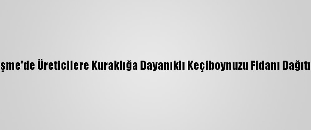 Çeşme'de Üreticilere Kuraklığa Dayanıklı Keçiboynuzu Fidanı Dağıtıldı
