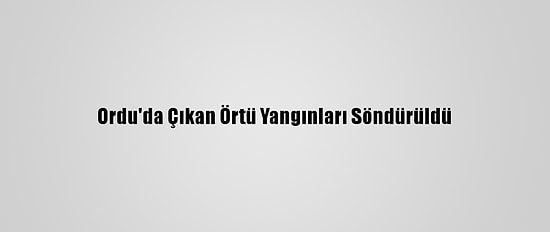 Ordu'da Çıkan Örtü Yangınları Söndürüldü