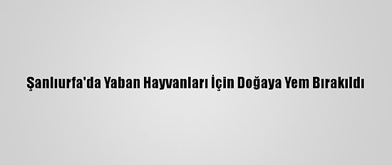 Şanlıurfa'da Yaban Hayvanları İçin Doğaya Yem Bırakıldı