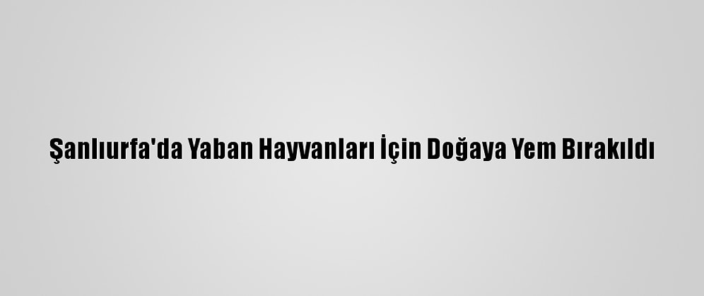 Şanlıurfa'da Yaban Hayvanları İçin Doğaya Yem Bırakıldı