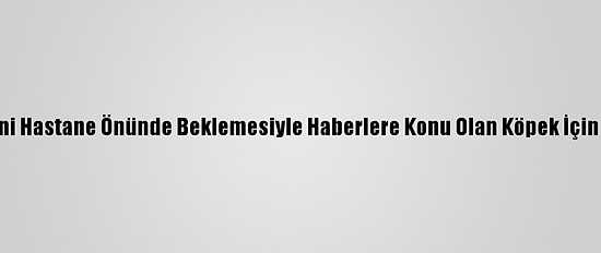 Trabzon'da Sahibini Hastane Önünde Beklemesiyle Haberlere Konu Olan Köpek İçin Kulübe Hazırlandı