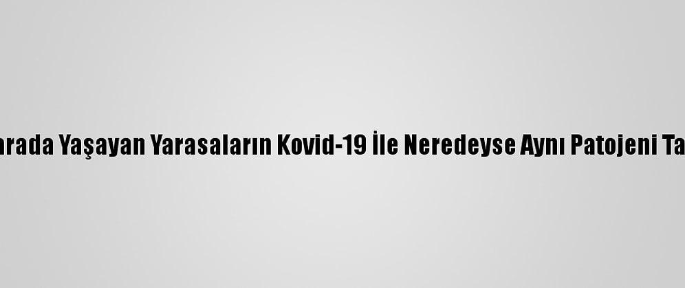 Kamboçya'da Mağarada Yaşayan Yarasaların Kovid-19 İle Neredeyse Aynı Patojeni Taşıdıkları Belirlendi