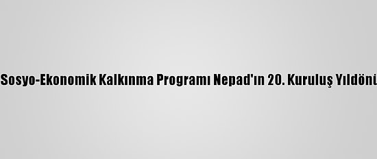 Afrika Birliği Sosyo-Ekonomik Kalkınma Programı Nepad'ın 20. Kuruluş Yıldönümü Kutlandı