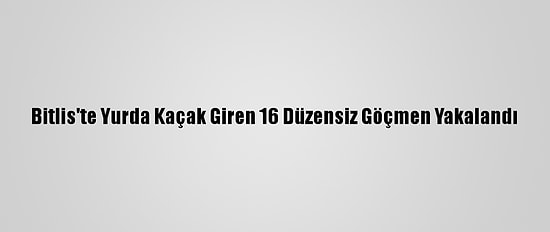 Bitlis'te Yurda Kaçak Giren 16 Düzensiz Göçmen Yakalandı