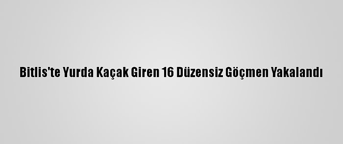 Bitlis'te Yurda Kaçak Giren 16 Düzensiz Göçmen Yakalandı