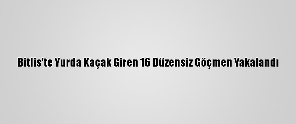 Bitlis'te Yurda Kaçak Giren 16 Düzensiz Göçmen Yakalandı