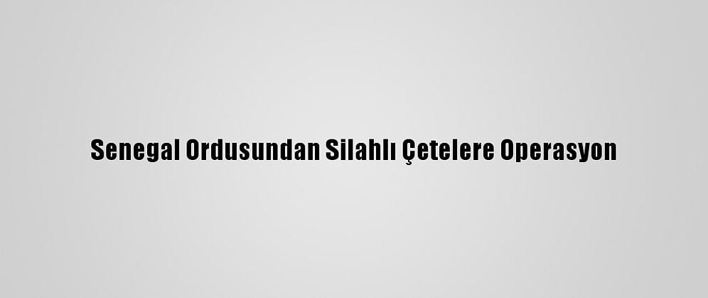Senegal Ordusundan Silahlı Çetelere Operasyon
